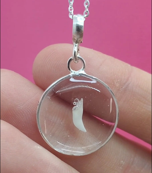 Collar Resina encapsulado