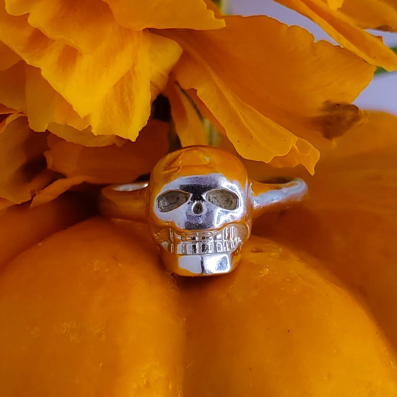 anillo craneo