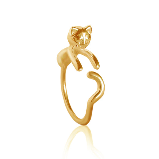 anillo gato