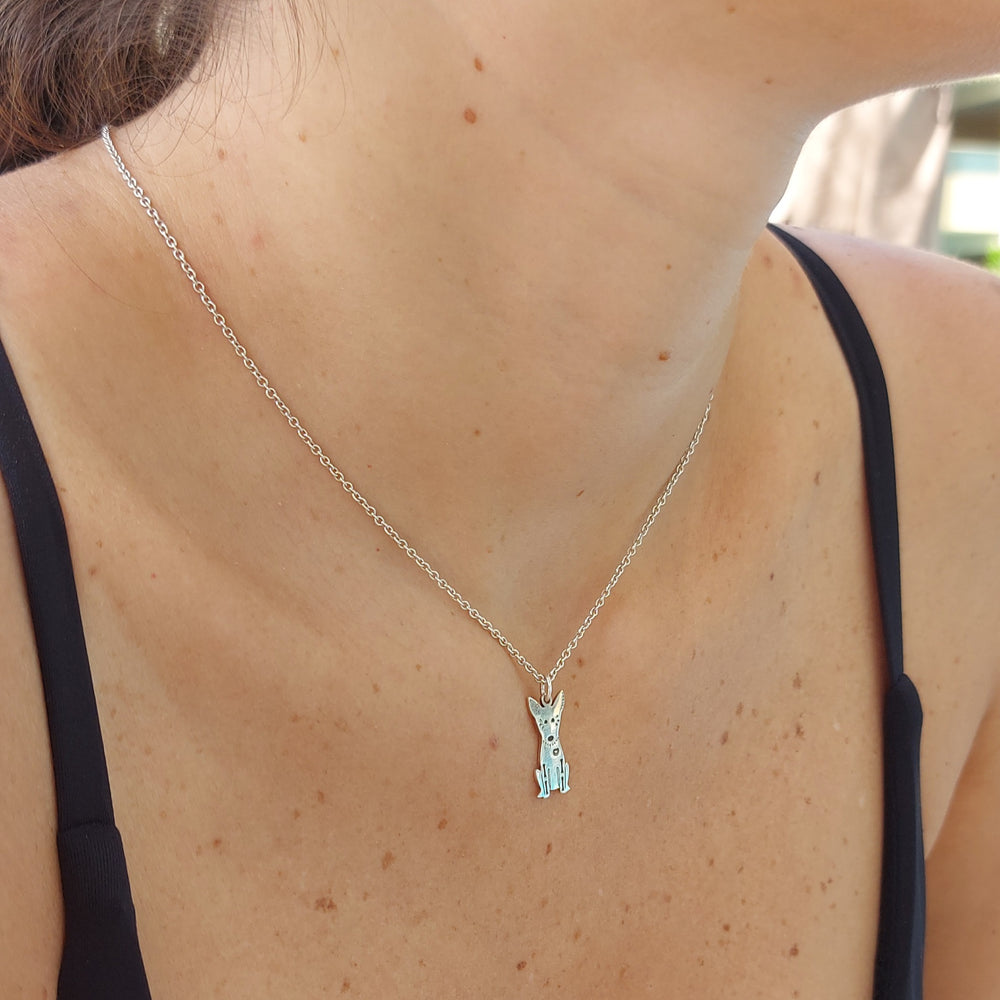 Collar Perro