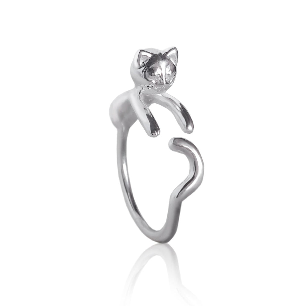 anillo gato